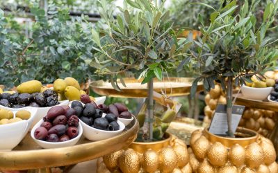 Gartentipp – Oliven