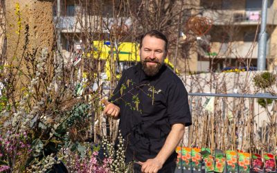 ORF Gartentipp: Frühlingsblüten